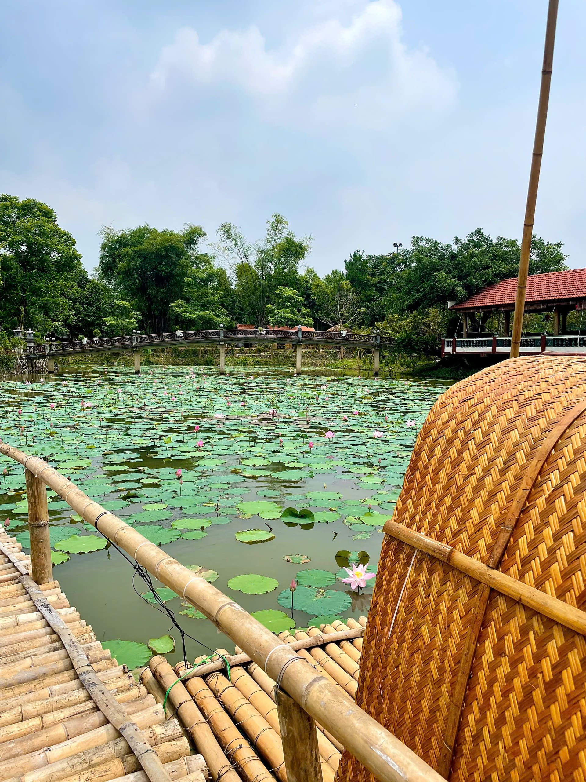 Gazebo tre view cầu vòm