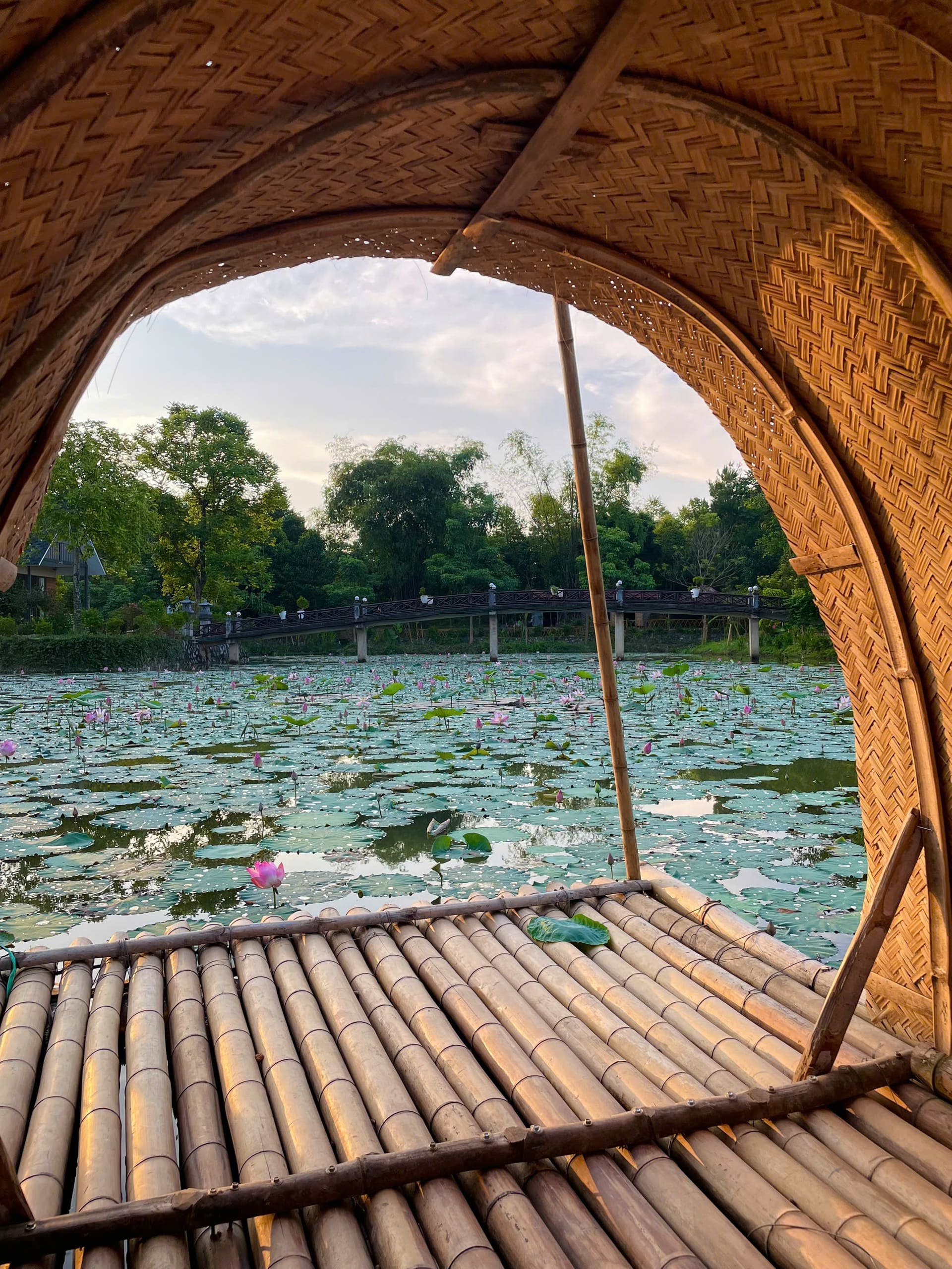 Gazebo tre view hồ sen