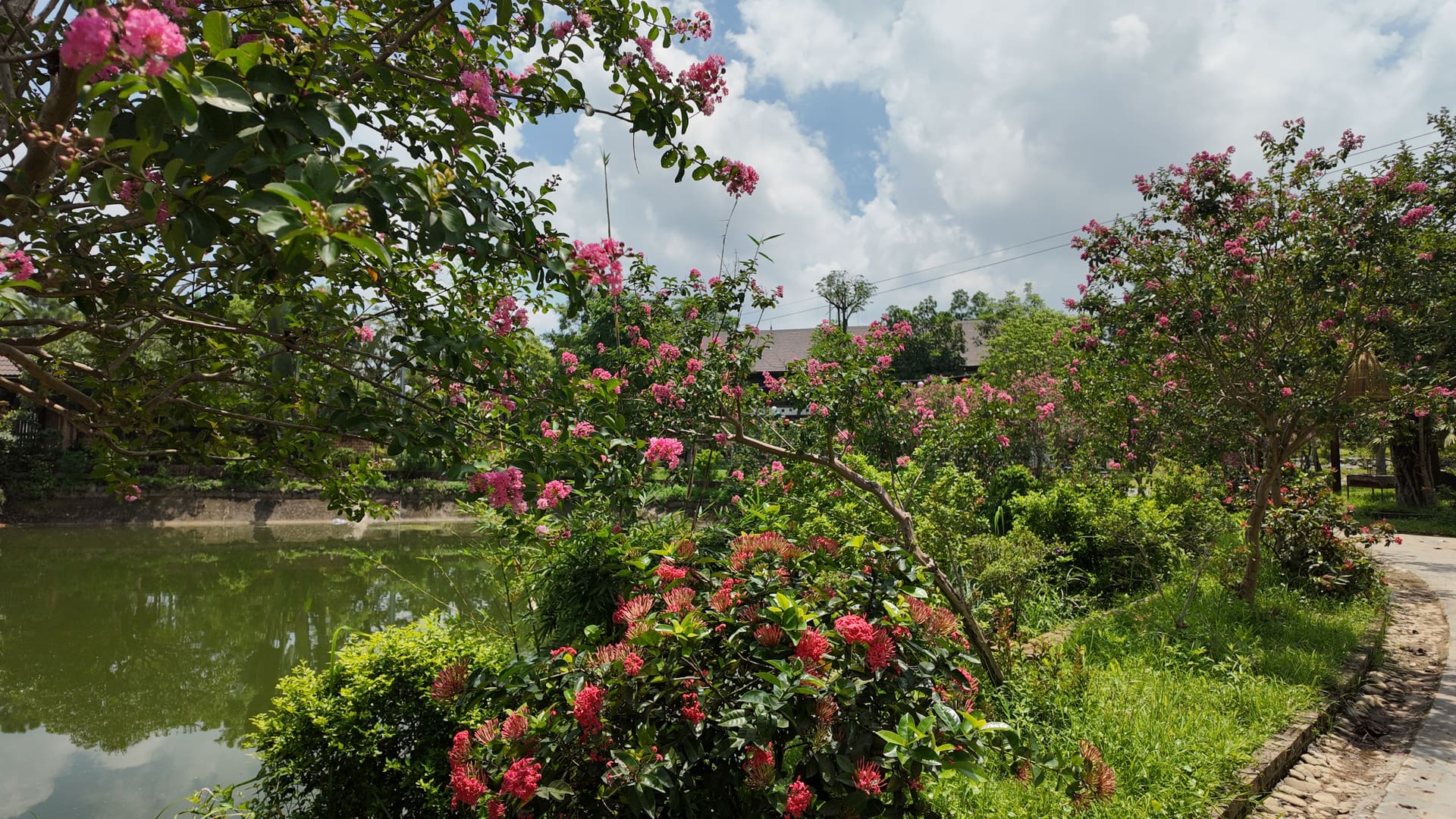 Vườn hoa Botanic