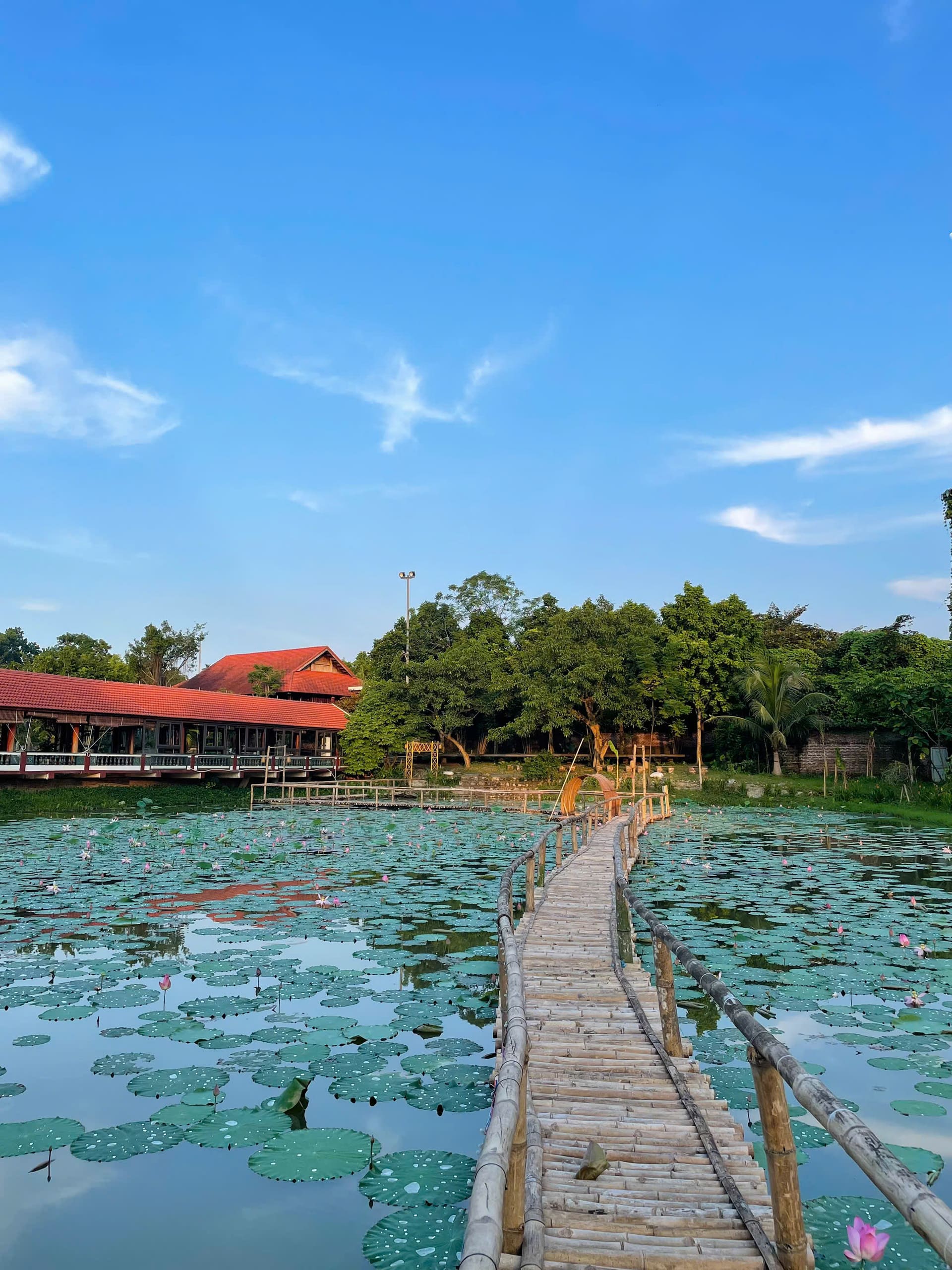 Sen Hồ Eco Garden
